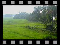 Kerala